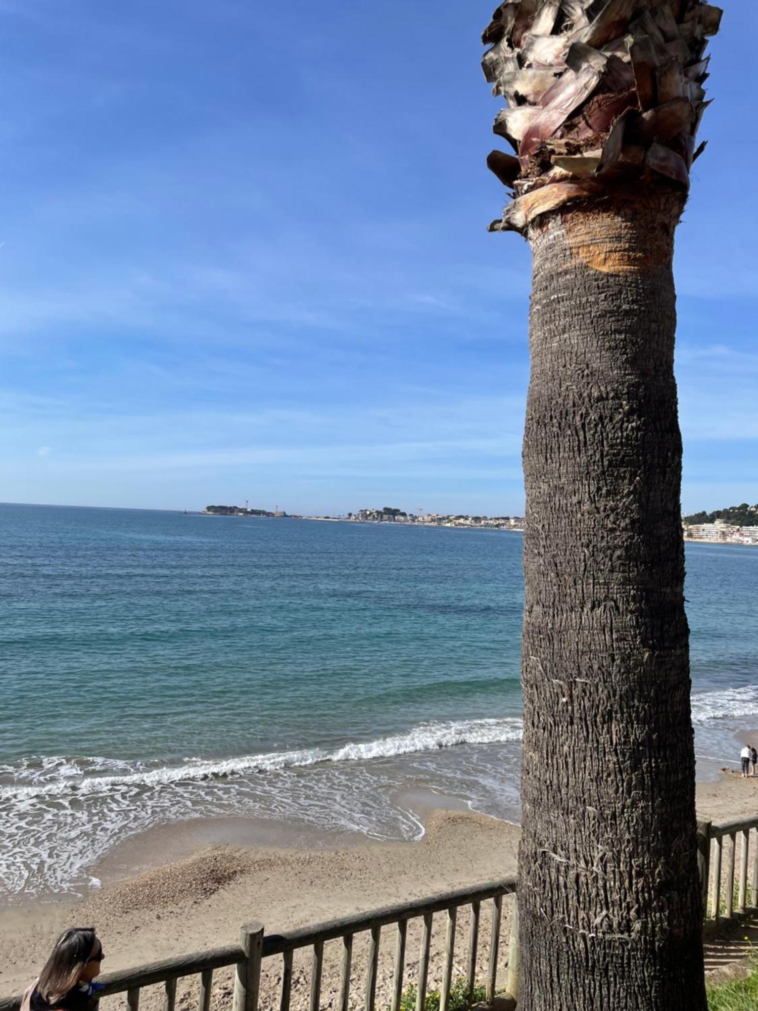 Studio Climatise Piscine Et Proche Plage Sanary-sur-Mer Exterior photo